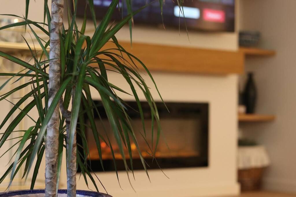 Lc Apartaments Voramar Benicàssim Eksteriør bilde